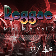 Reggae Mini Mix 2 DJ APollo