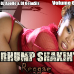Rhump Shakin Reggae 6